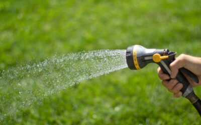 Understanding the Basics of Submersible Pumps: A Comprehensive Guide