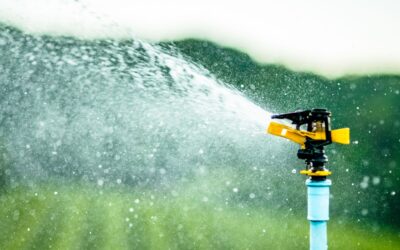 The Importance of Regular Pump Maintenance for Longevity and Performance