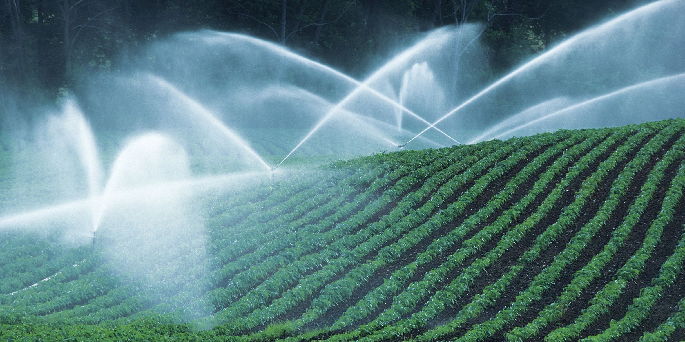 agricultural-pumps-in-nsw-watering