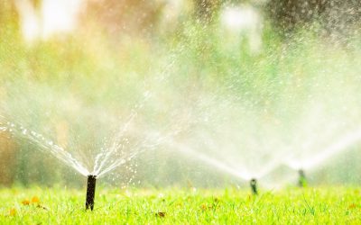 Tips for Efficient Water Management Systems in NSW